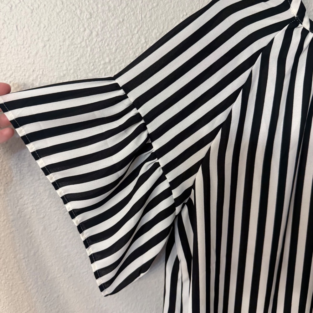 Striped shell - Picture 2 of 5